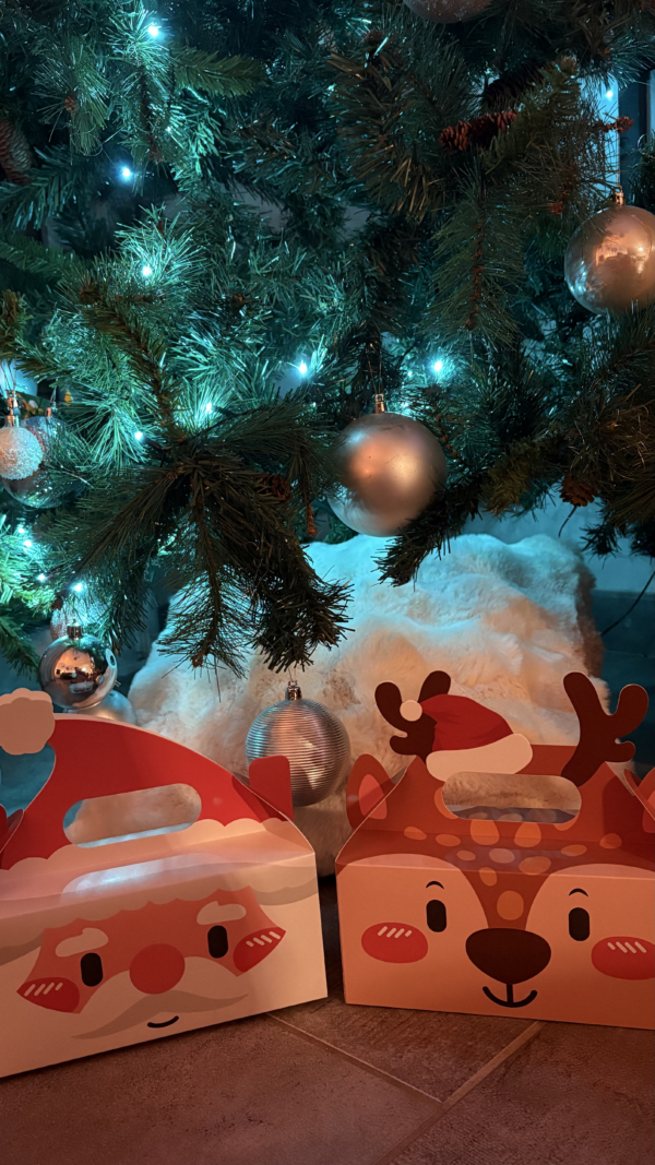 IMG_8603 Box Noël personnalisée